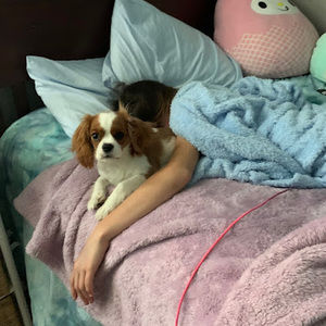 Meet your Posher, Kristy